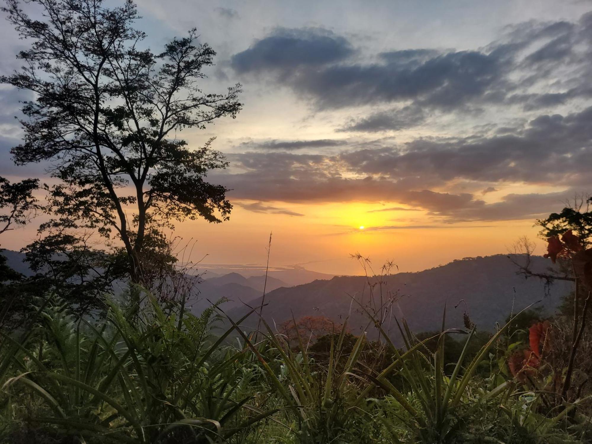 Mano Verde Minca Dış mekan fotoğraf
